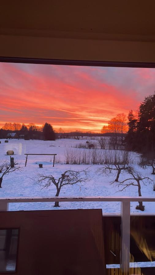 Just Lodges Orissaare エクステリア 写真